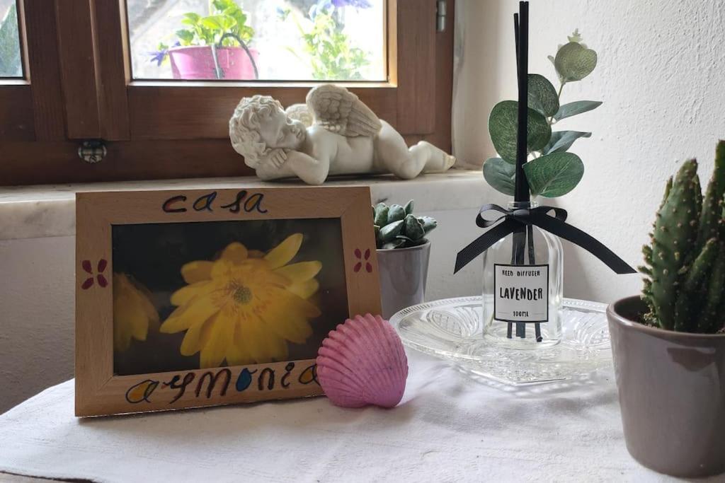 Apartament Armonia Edificio Storico Del 1563. Cevio Zewnętrze zdjęcie